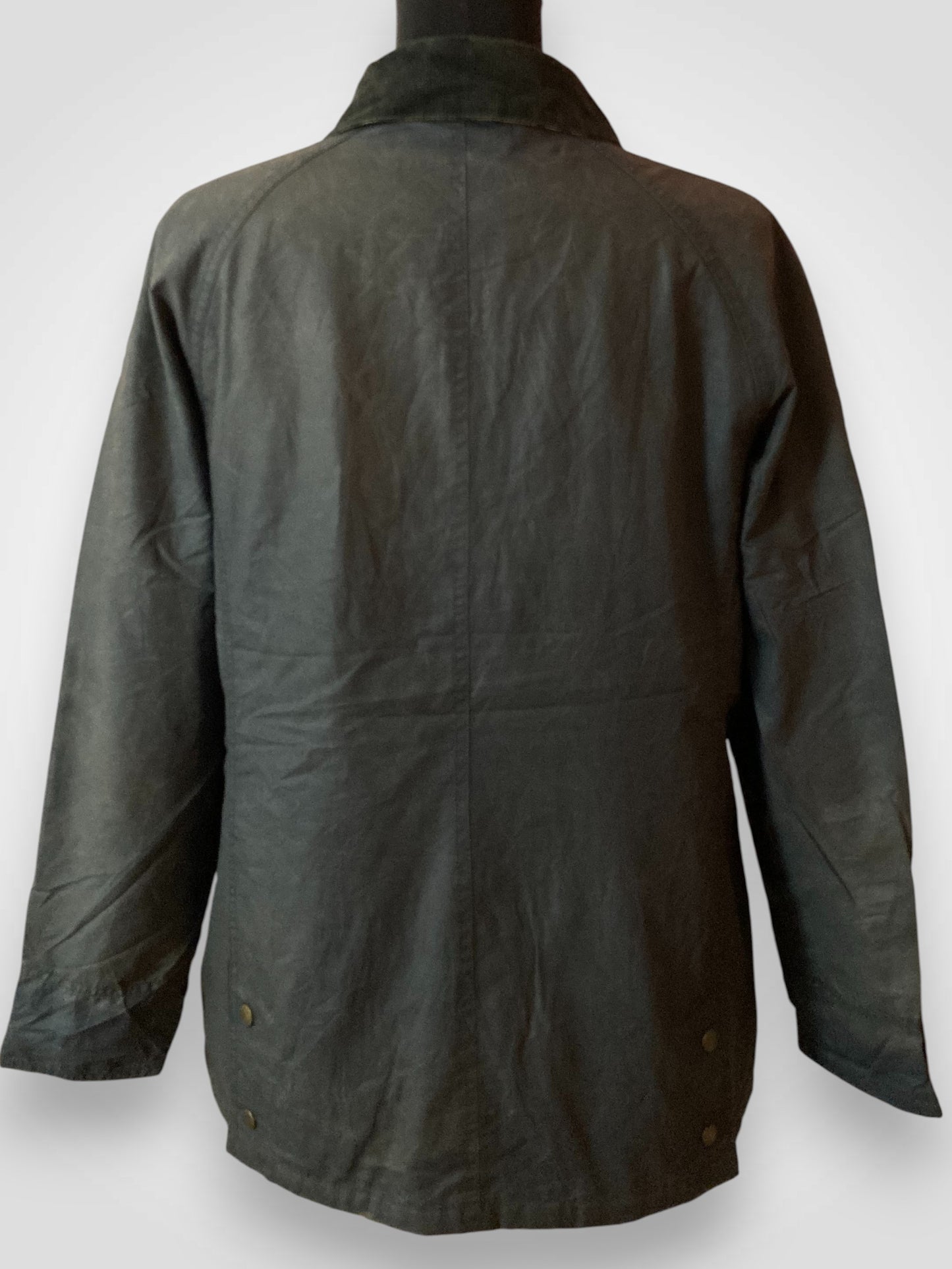 Barbour Beadnell con interno William Morris